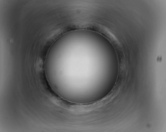 X0000101650025200807101242