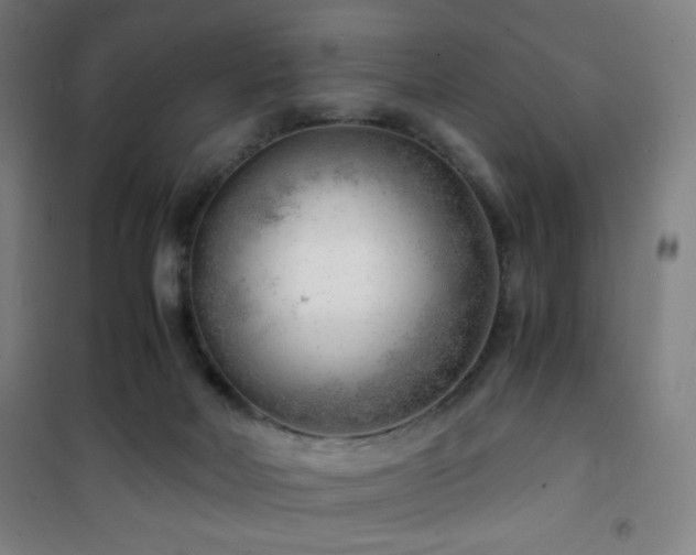 X0000101650026200807101242