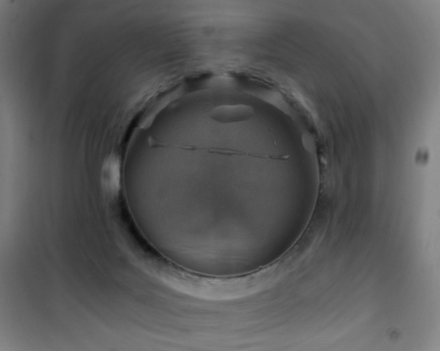 X0000101650027200807101242