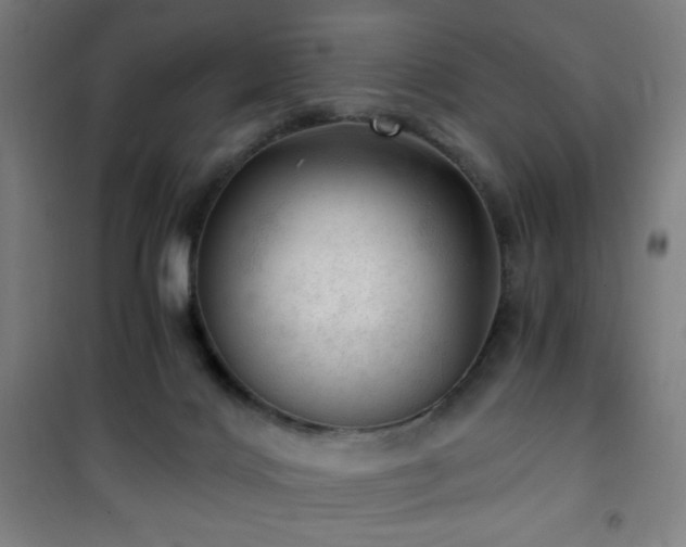 X0000101650028200807101242