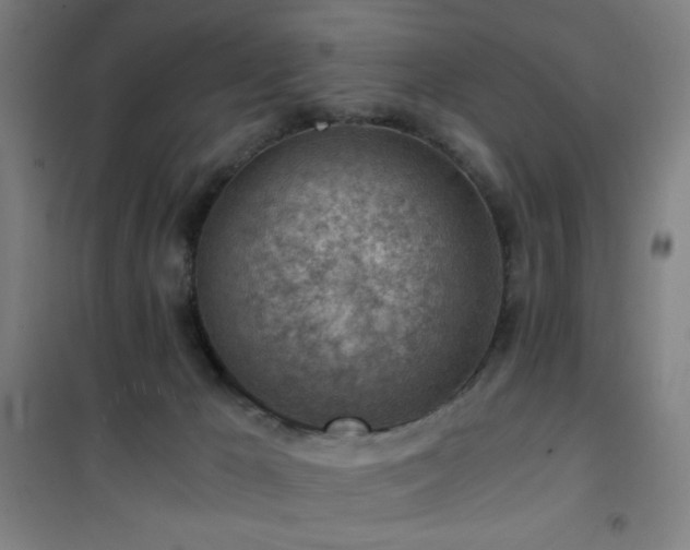 X0000101650029200807101242