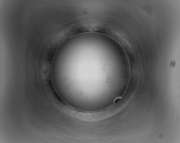 X0000101650030200807101242