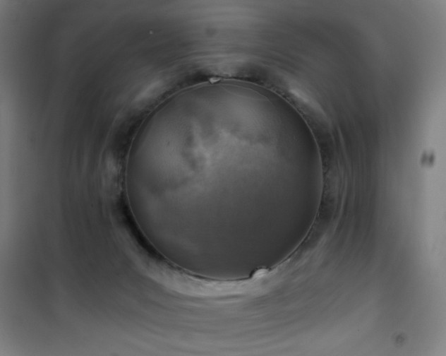 X0000101650031200807101242