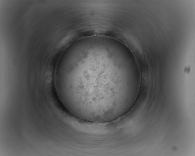 X0000101650032200807101242