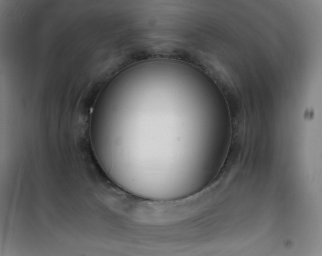 X0000101650033200807101242