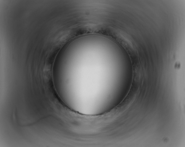 X0000101650034200807101242