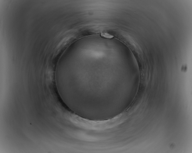 X0000101650035200807101242