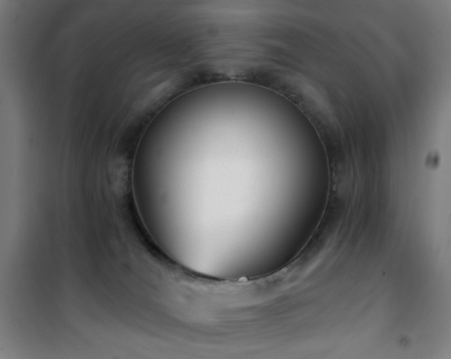 X0000101650036200807101242