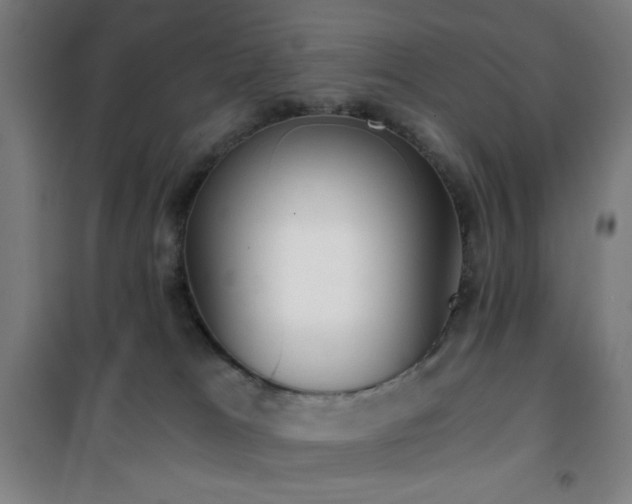 X0000101650037200807101242