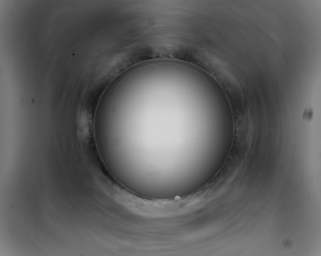 X0000101650038200807101242