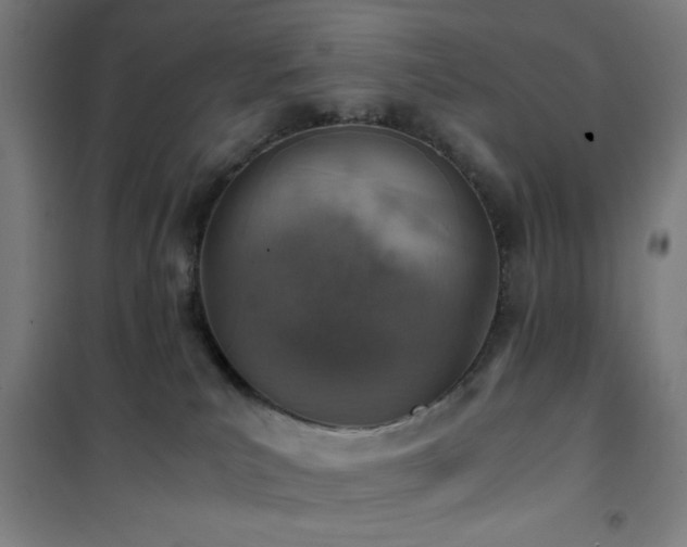 X0000101650039200807101241