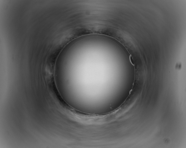 X0000101650040200807101241