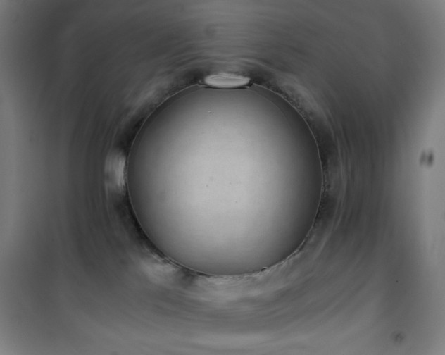 X0000101650041200807101241