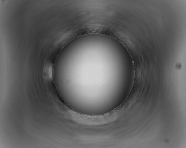 X0000101650042200807101241