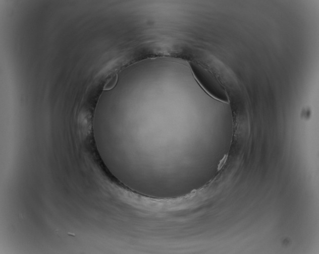 X0000101650043200807101241