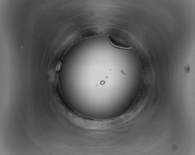 X0000101650044200807101241