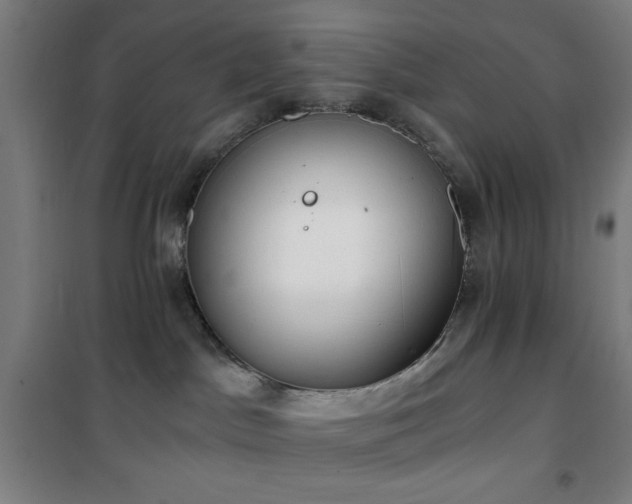 X0000101650045200807101241