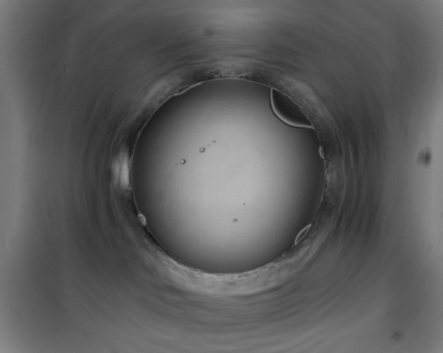 X0000101650046200807101241