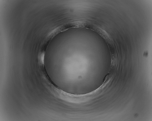 X0000101650047200807101241