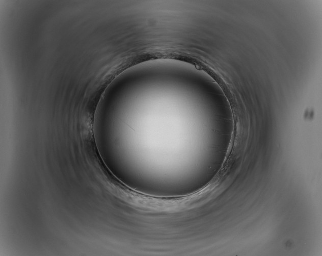 X0000101650048200807101241