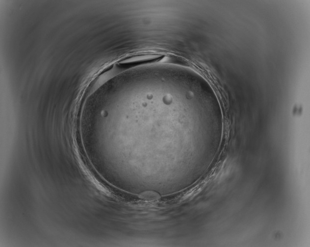 X0000101650049200807101241