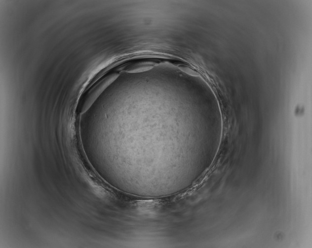 X0000101650050200807101241