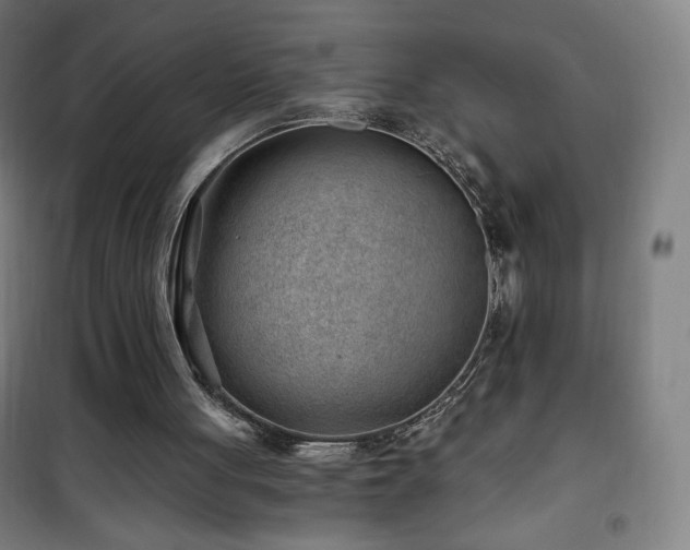 X0000101650051200807101241