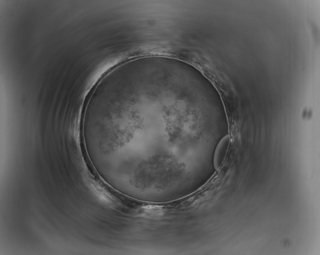 X0000101650052200807101241