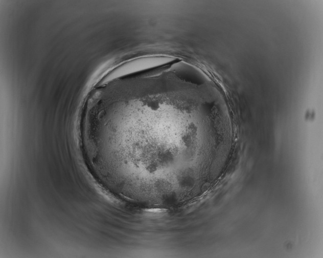 X0000101650053200807101241