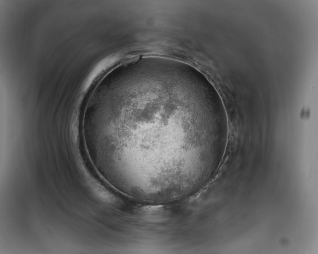 X0000101650054200807101241