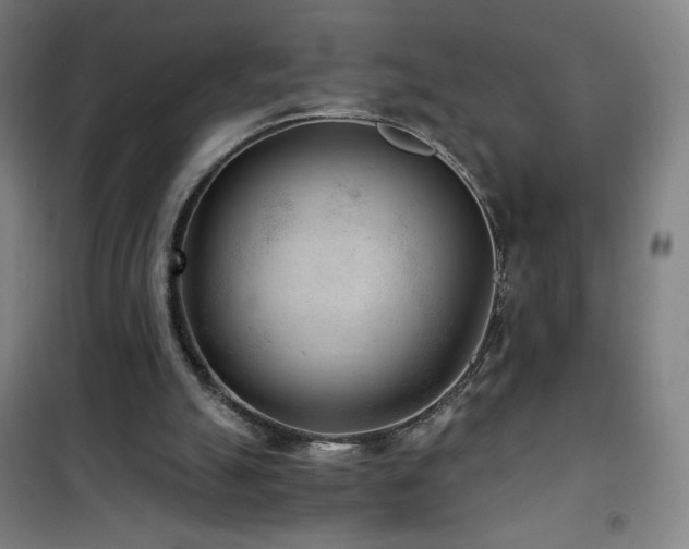 X0000101650055200807101241