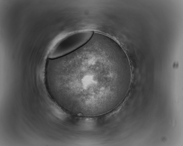 X0000101650056200807101241