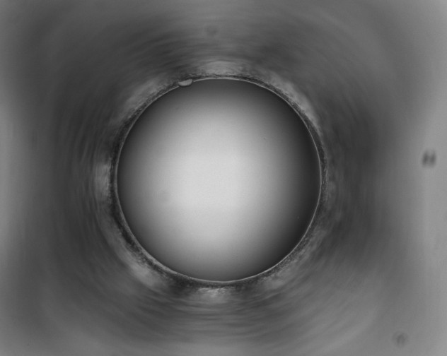 X0000101650057200807101241