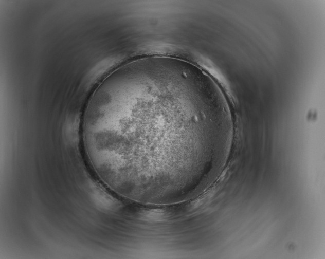 X0000101650058200807101241