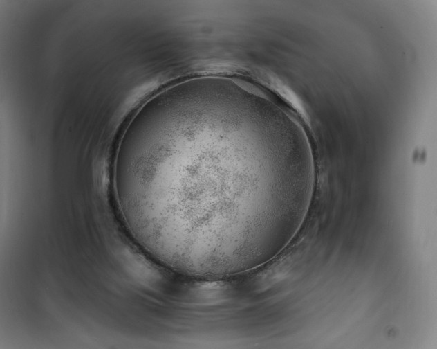 X0000101650059200807101241