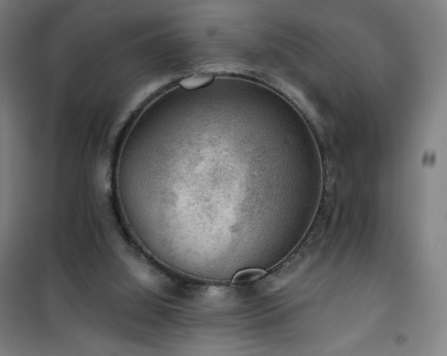 X0000101650060200807101241