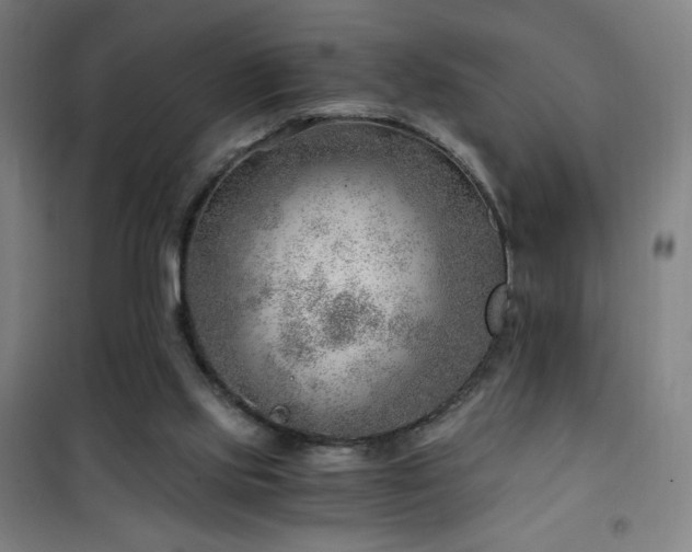 X0000101650061200807101241