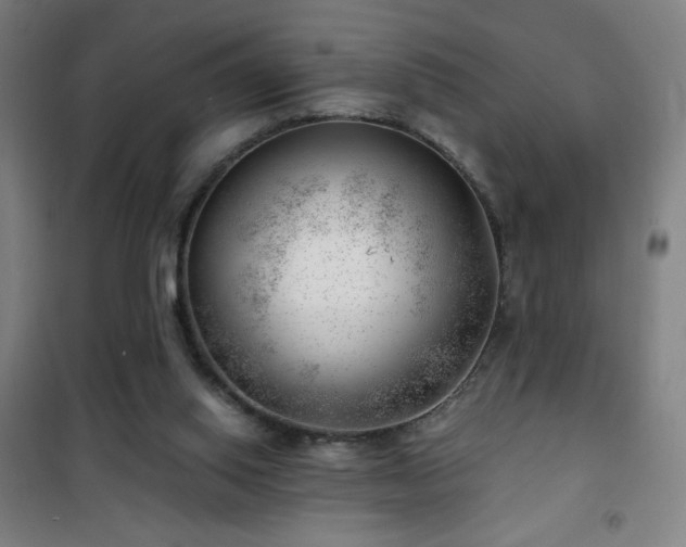 X0000101650062200807101241