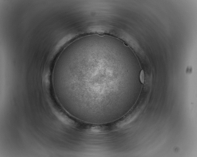 X0000101650064200807101241