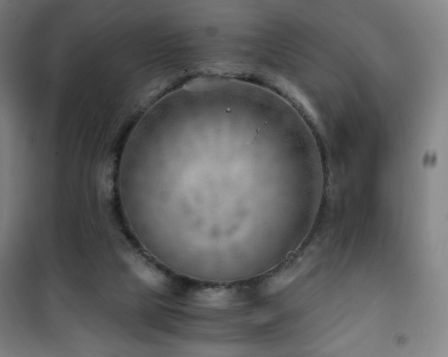 X0000101650065200807101241