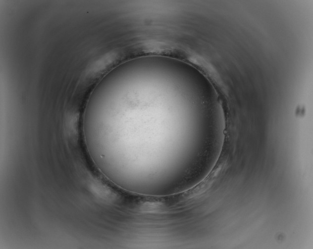 X0000101650066200807101241