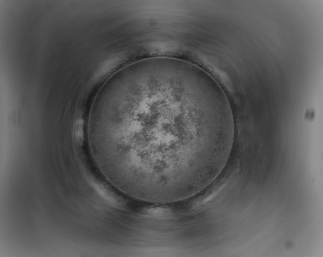 X0000101650067200807101241