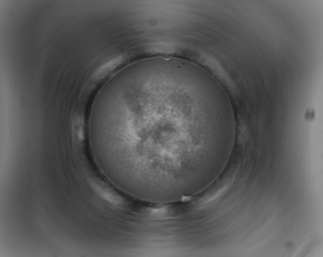 X0000101650068200807101241