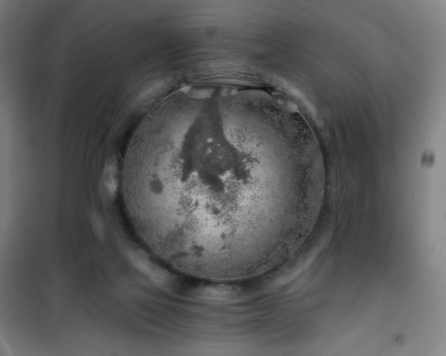 X0000101650069200807101241