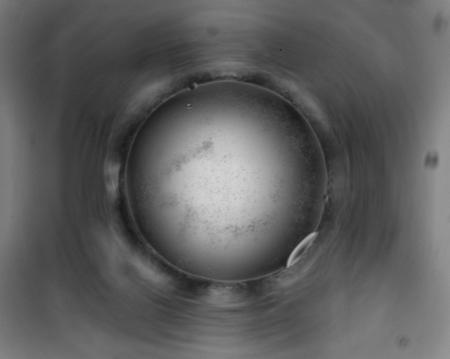 X0000101650070200807101241