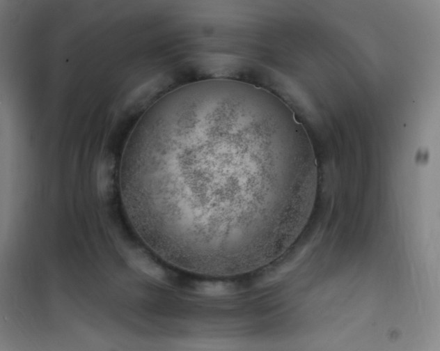 X0000101650073200807101241