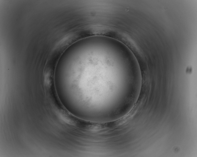 X0000101650074200807101241