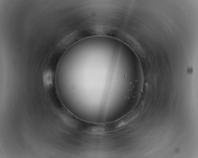 X0000101650075200807101241