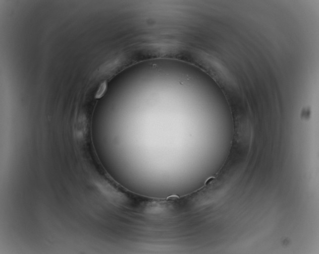 X0000101650077200807101241