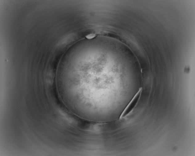 X0000101650078200807101241